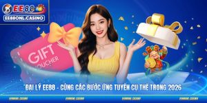 Đại Lý EE88 - Cùng Các Bước Ứng Tuyển Cụ Thể Trong 2026