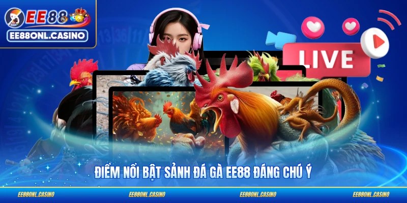 Điểm nổi bật sảnh đá gà EE88 đáng chú ý