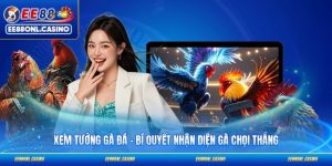 Xem Tướng Gà Đá - Bí Quyết Nhận Diện Gà Chọi Thắng